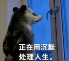 8099999街头巷尾微信