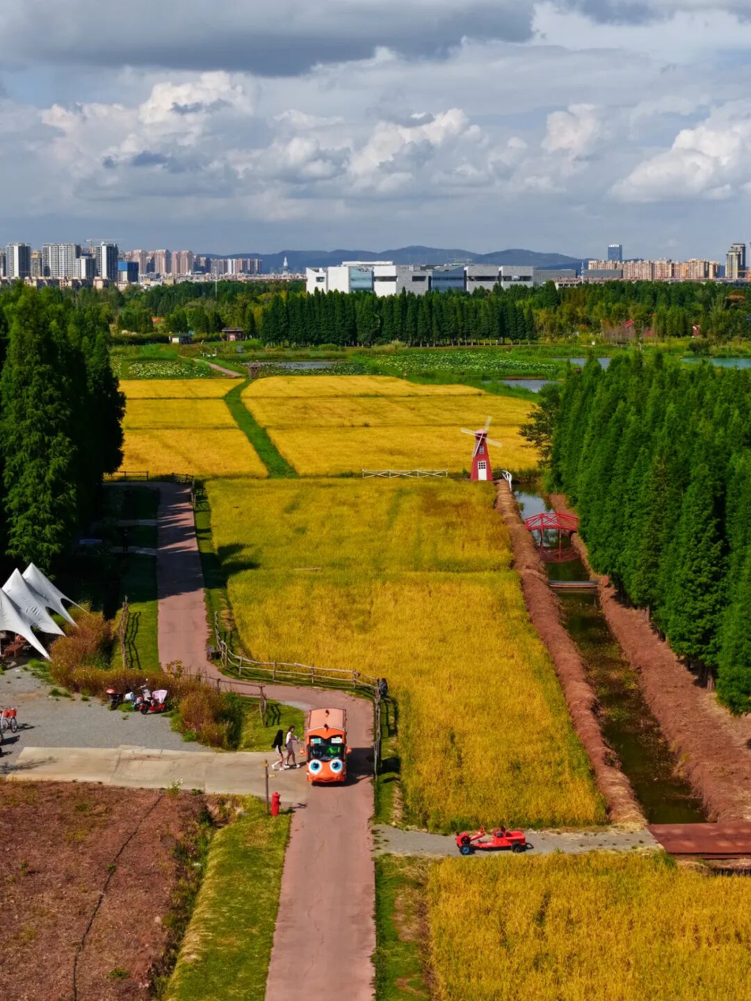 街头巷尾