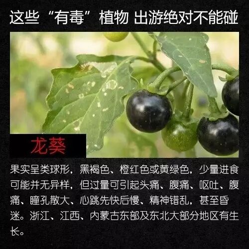 昆明广播电视台