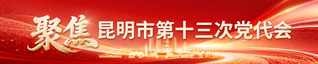 清风春城
