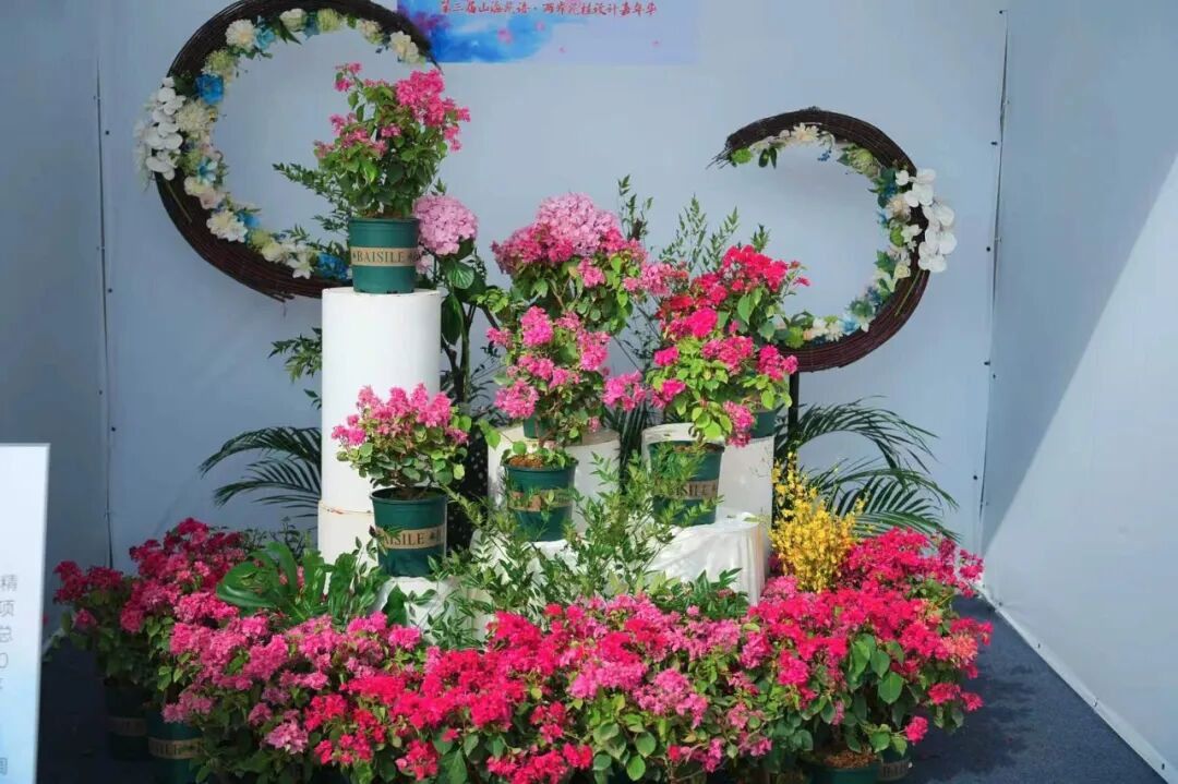 掌上春城微信