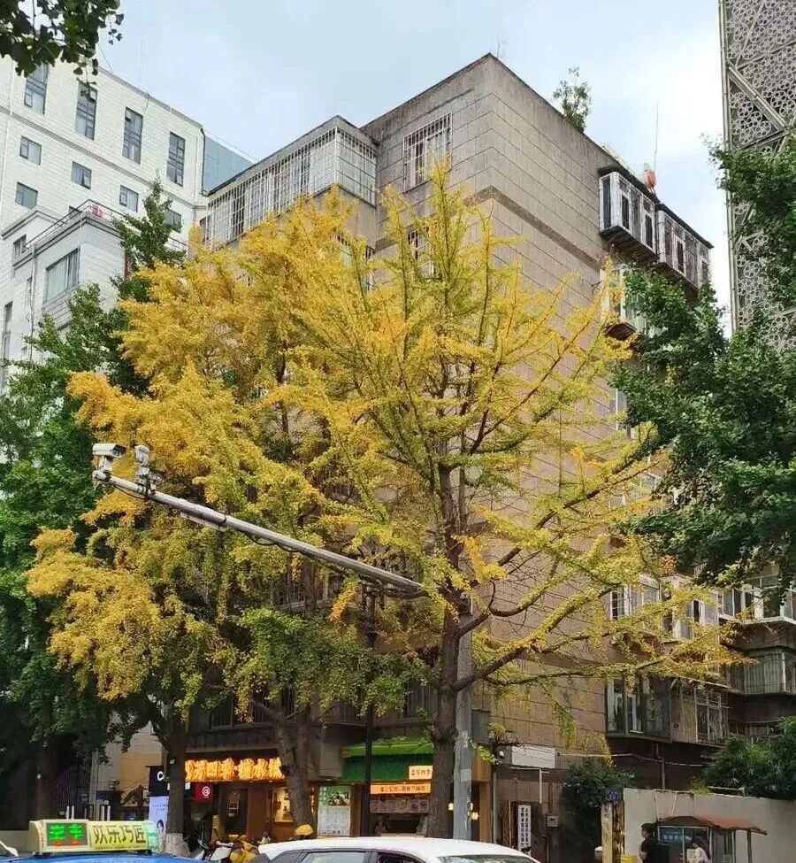 都市时报