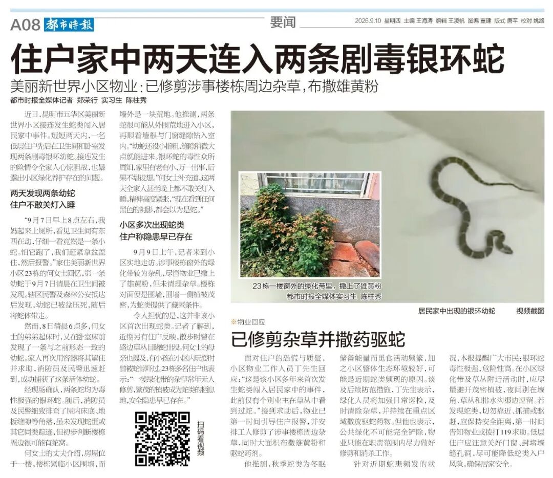 都市时报