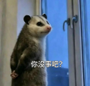 掌上春城微信