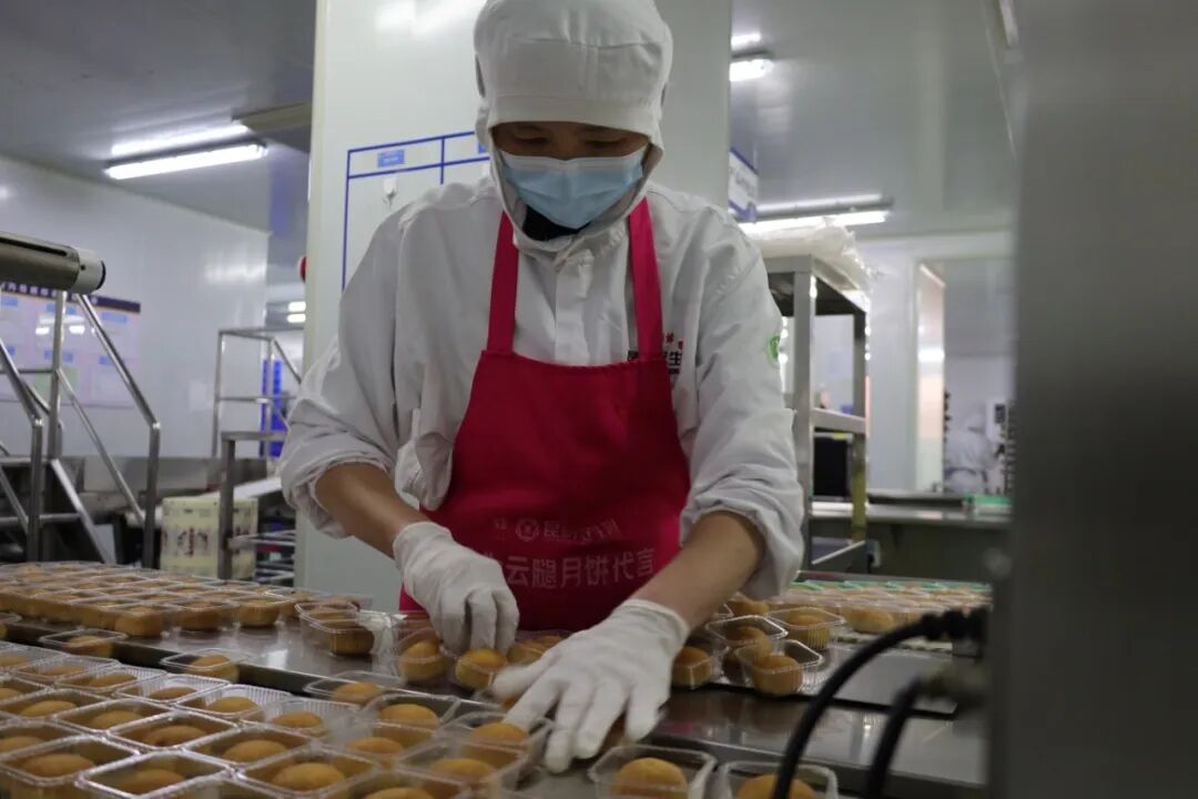 掌上春城微信