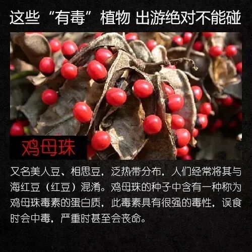 昆明广播电视台