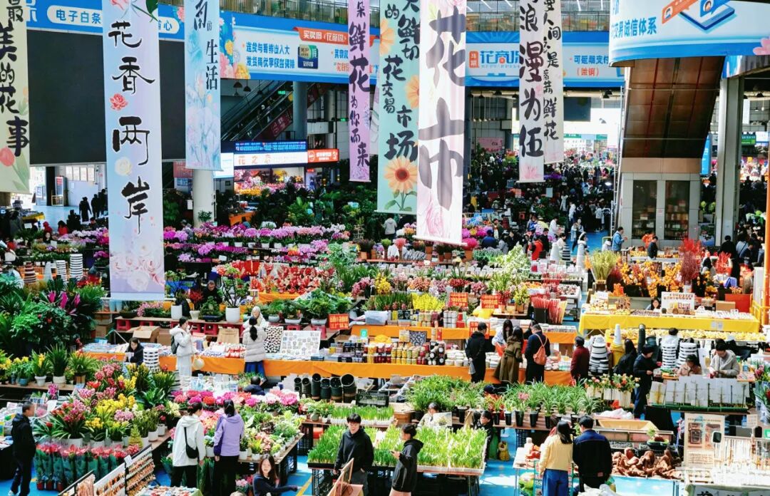 街头巷尾