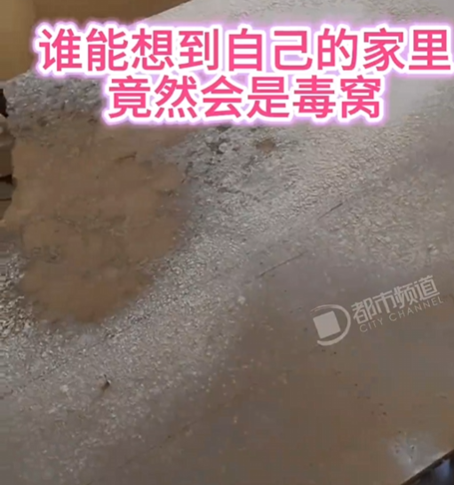 都市时报