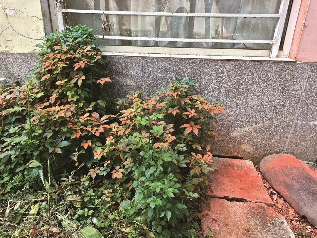 都市时报