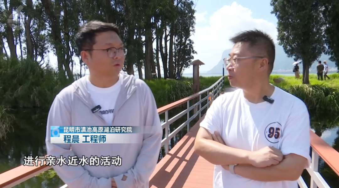 8099999街头巷尾微信