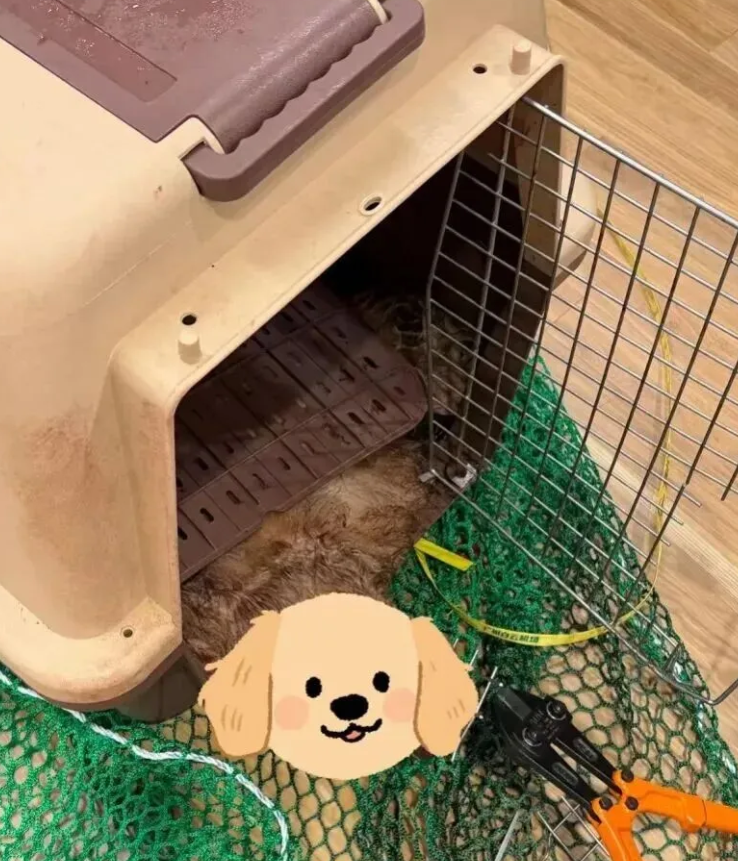 昆明广播电视台