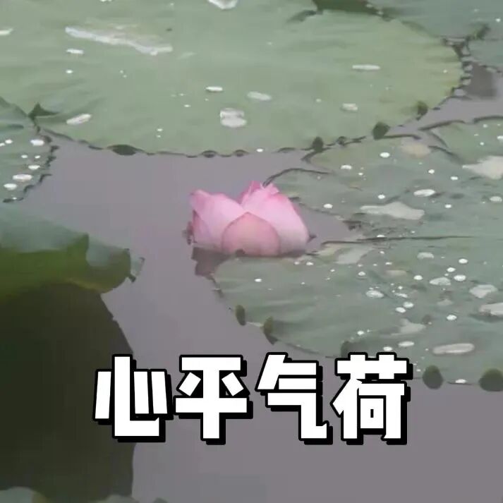 8099999街头巷尾微信