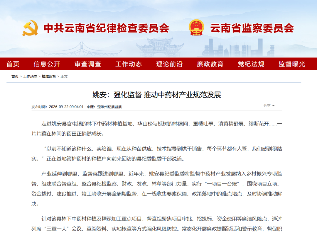 清风楚雄