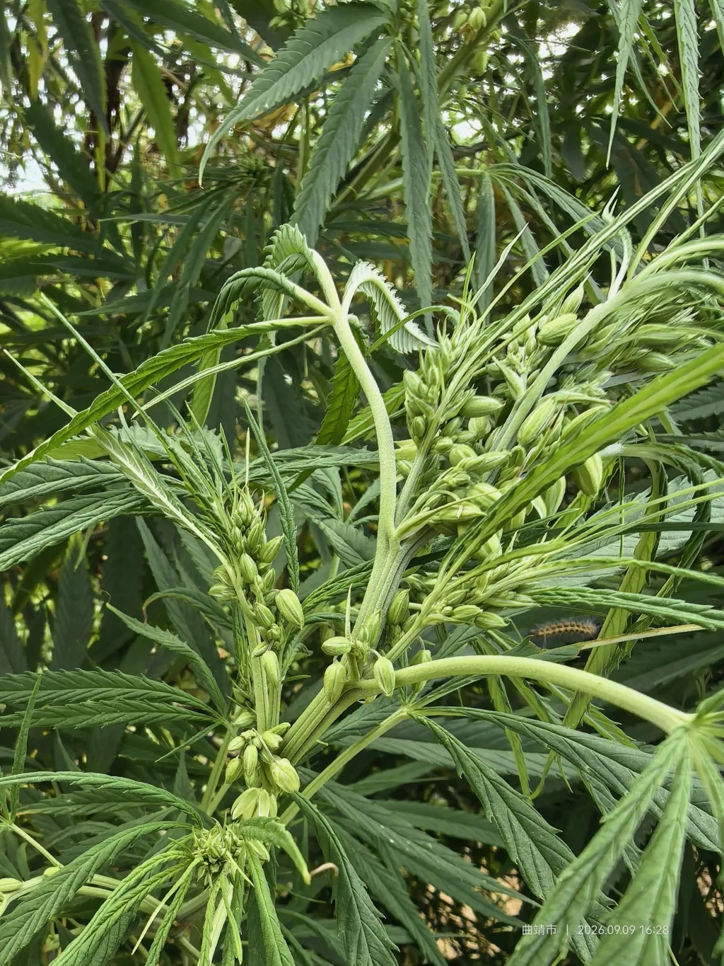 昆明广播电视台