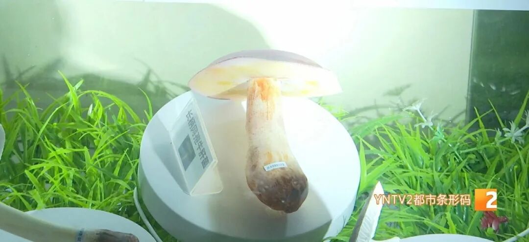 昆明广播电视台
