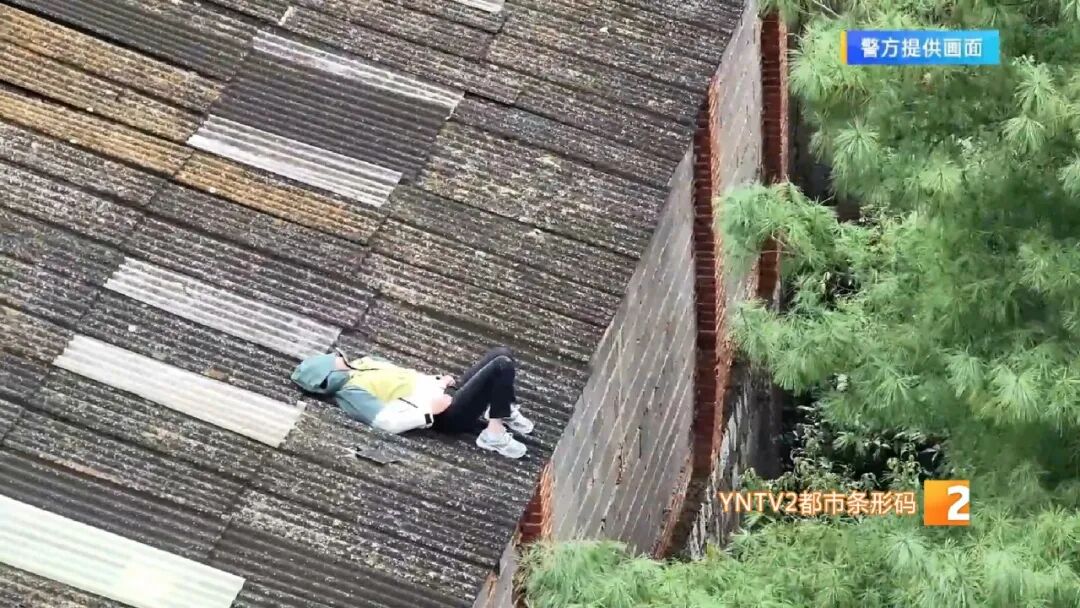 掌上春城微信