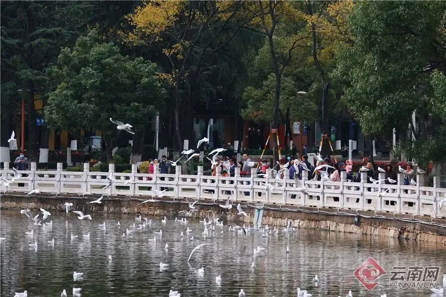 街头巷尾