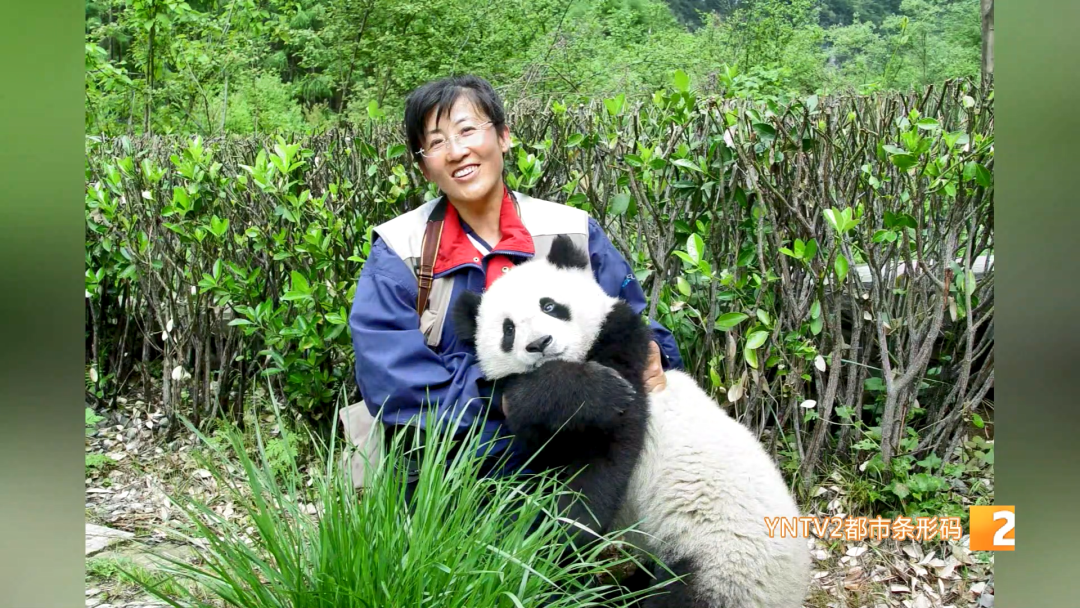 掌上春城微信