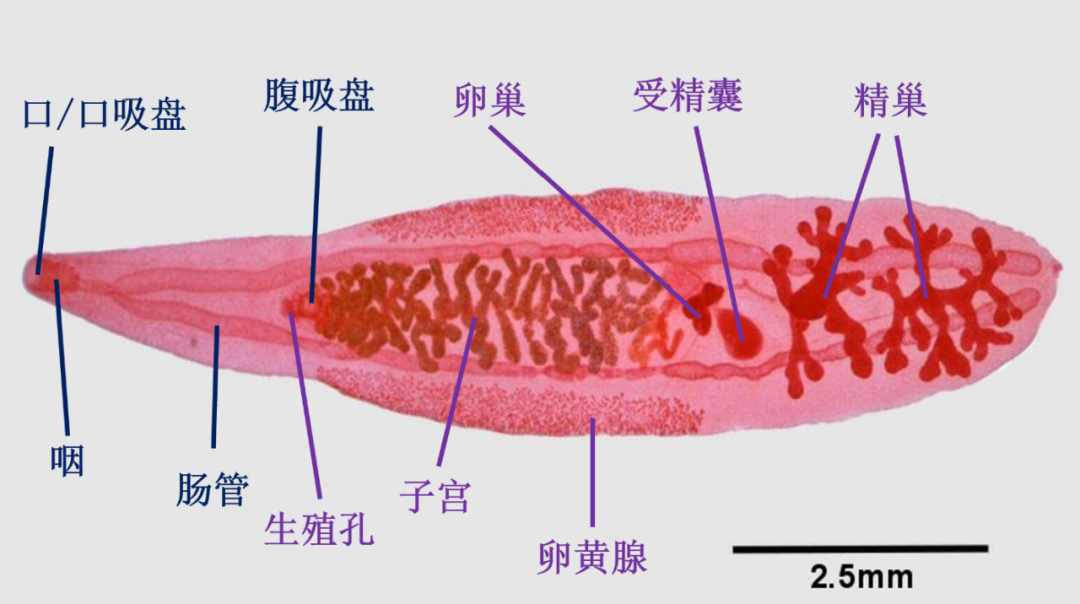 掌上春城微信