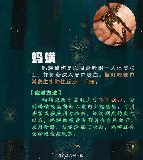 掌上春城微信