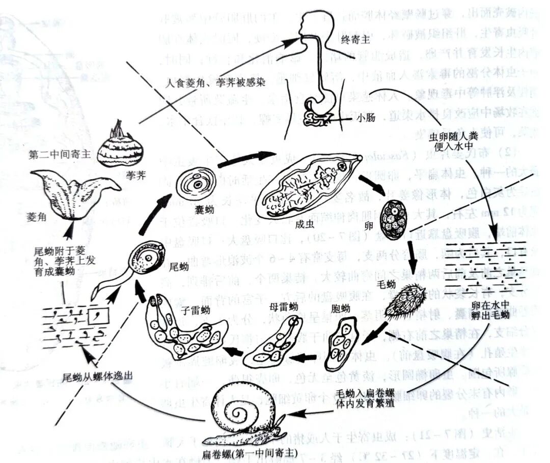 掌上春城微信