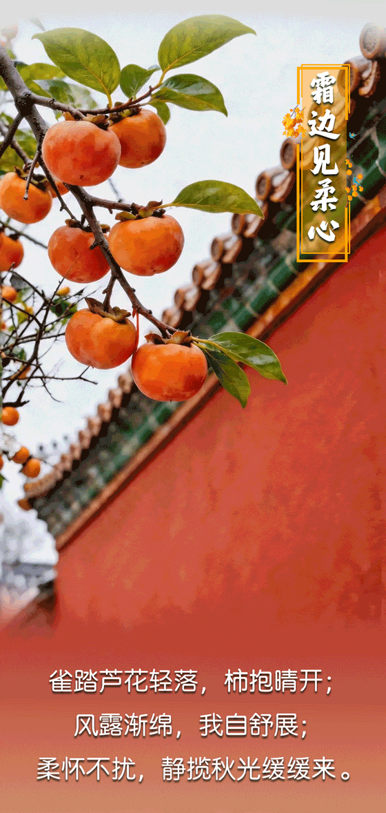 清风春城