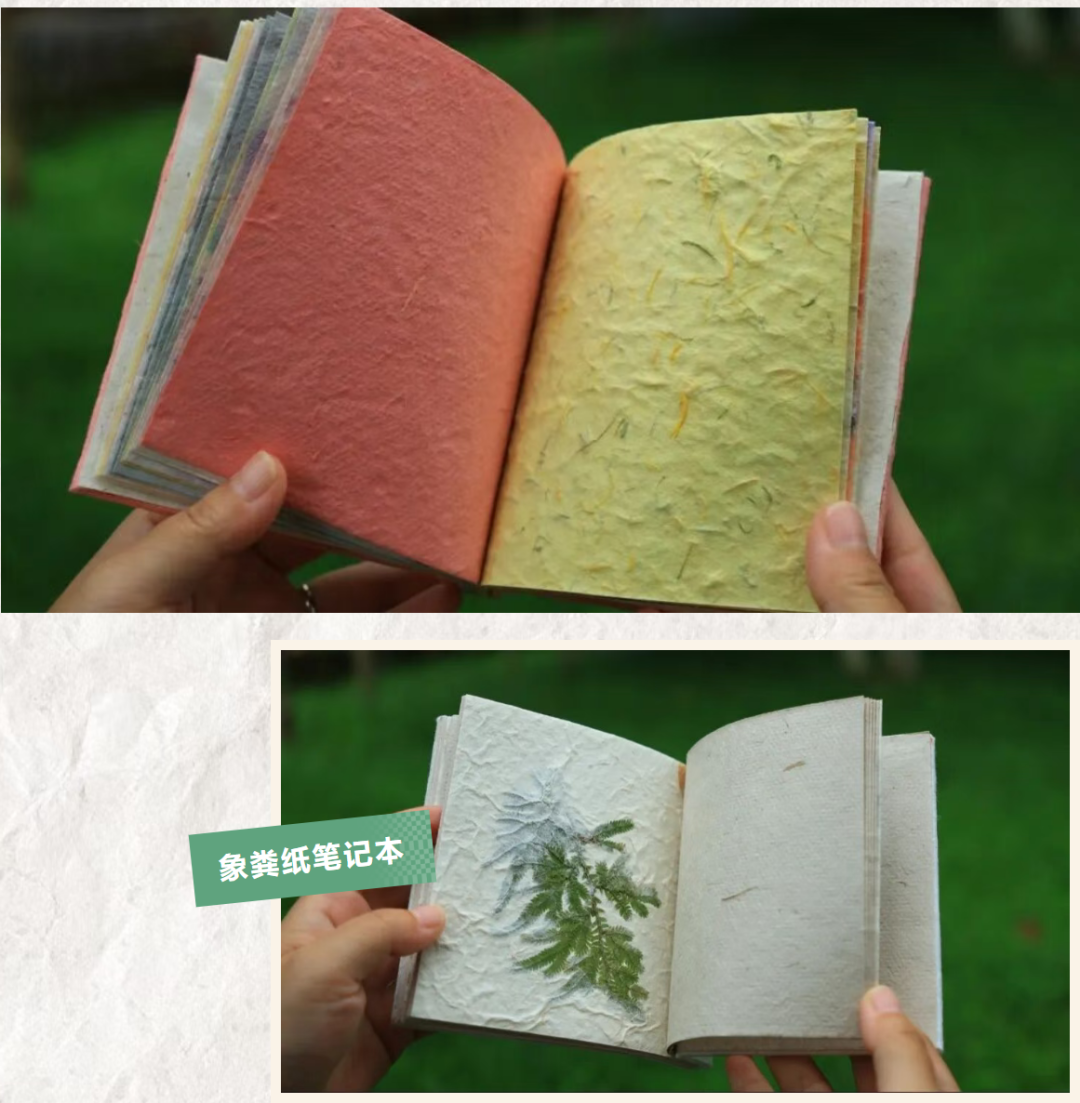 掌上春城微信