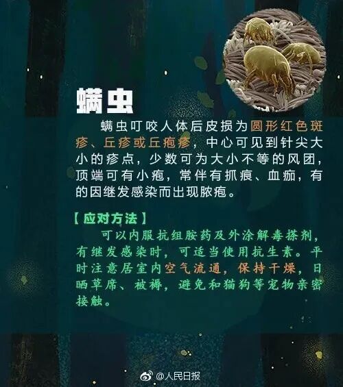 掌上春城微信