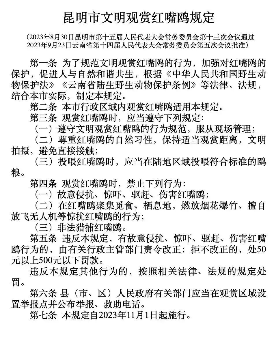 街头巷尾