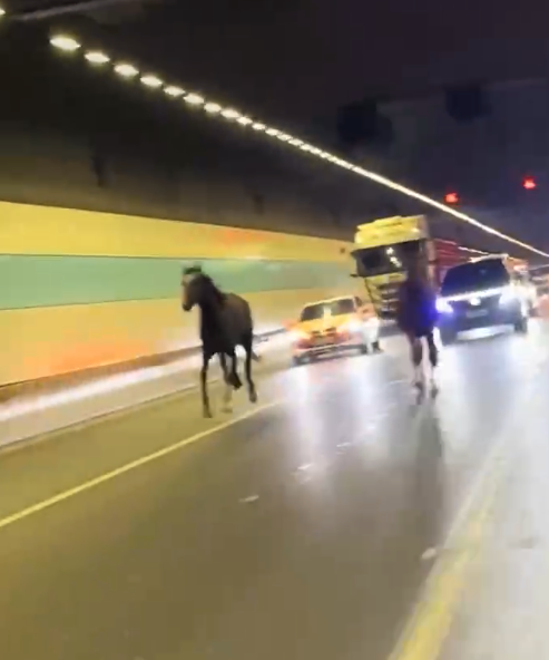 都市时报