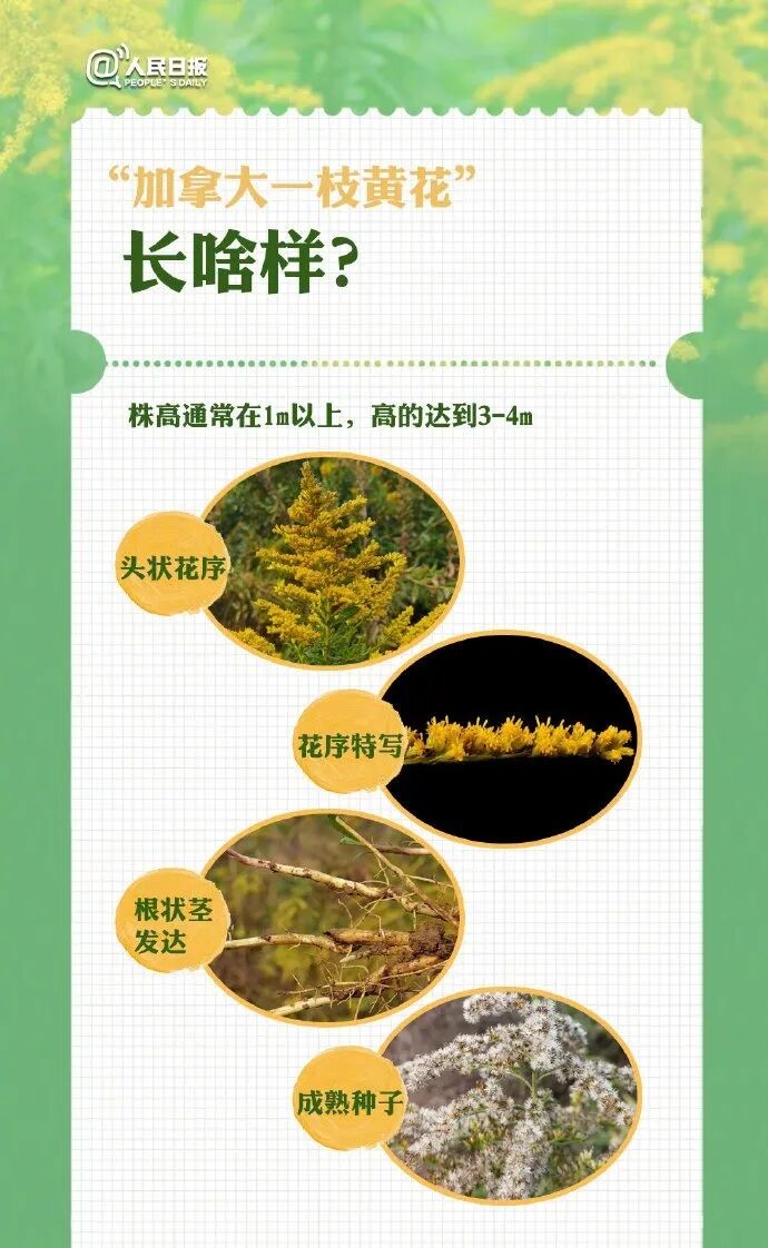 都市时报