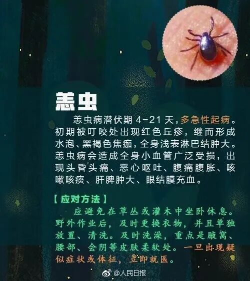 掌上春城微信