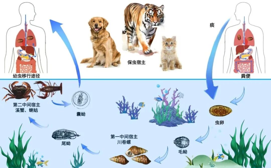 掌上春城微信