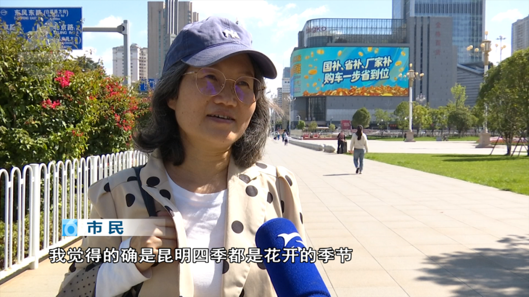 8099999街头巷尾微信
