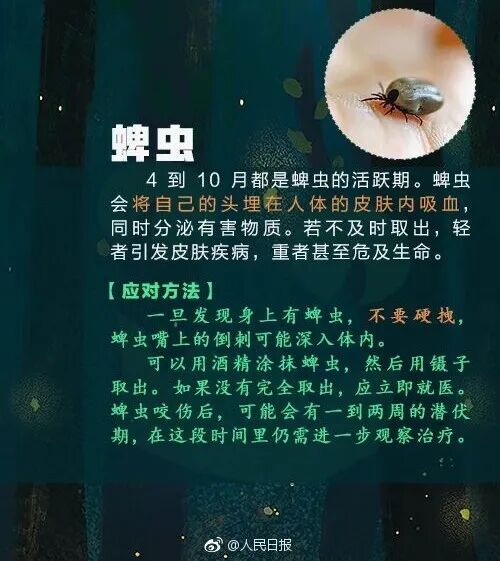 掌上春城微信