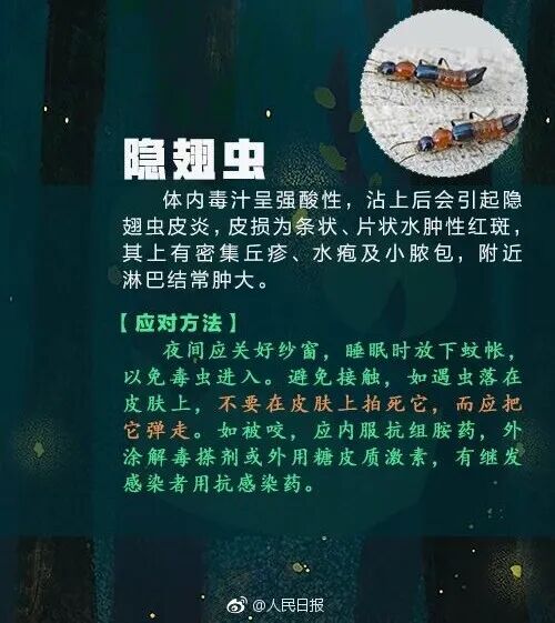 掌上春城微信