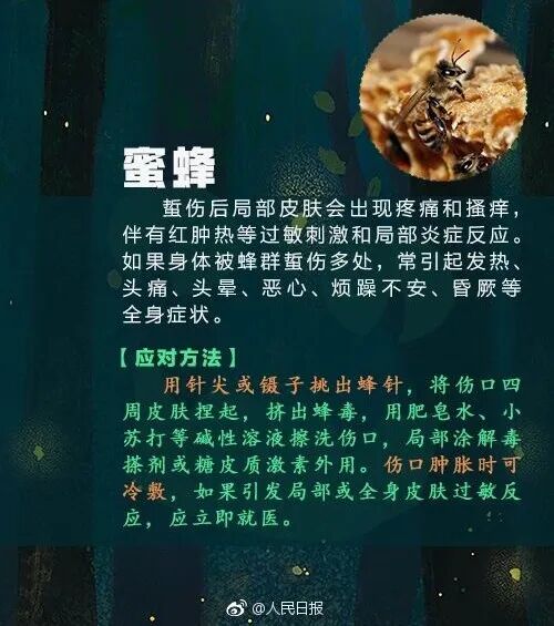 掌上春城微信