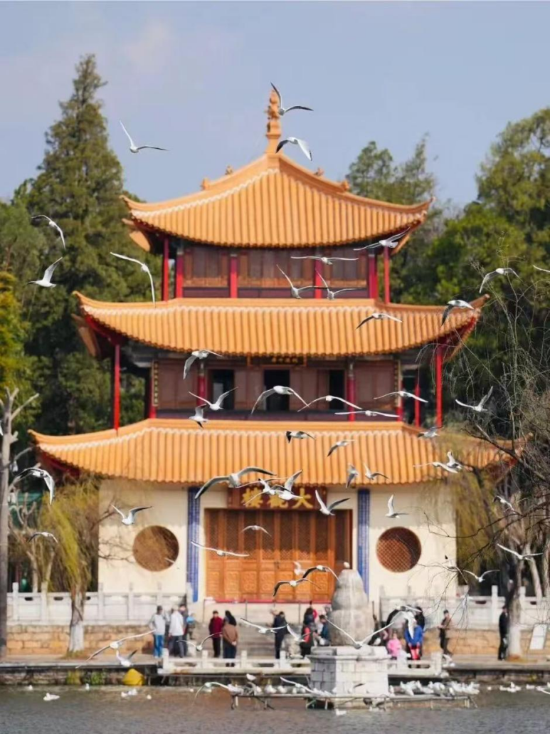 街头巷尾