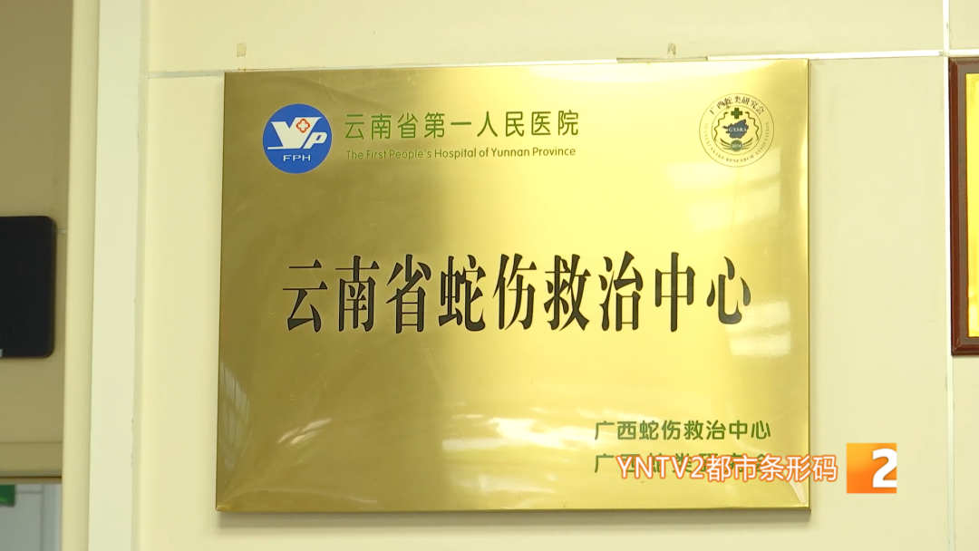 掌上春城微信