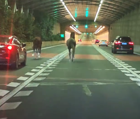 都市时报