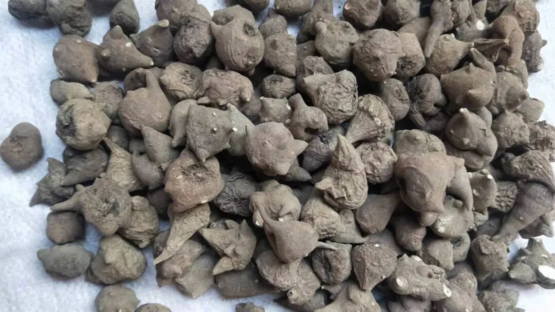 昆明广播电视台