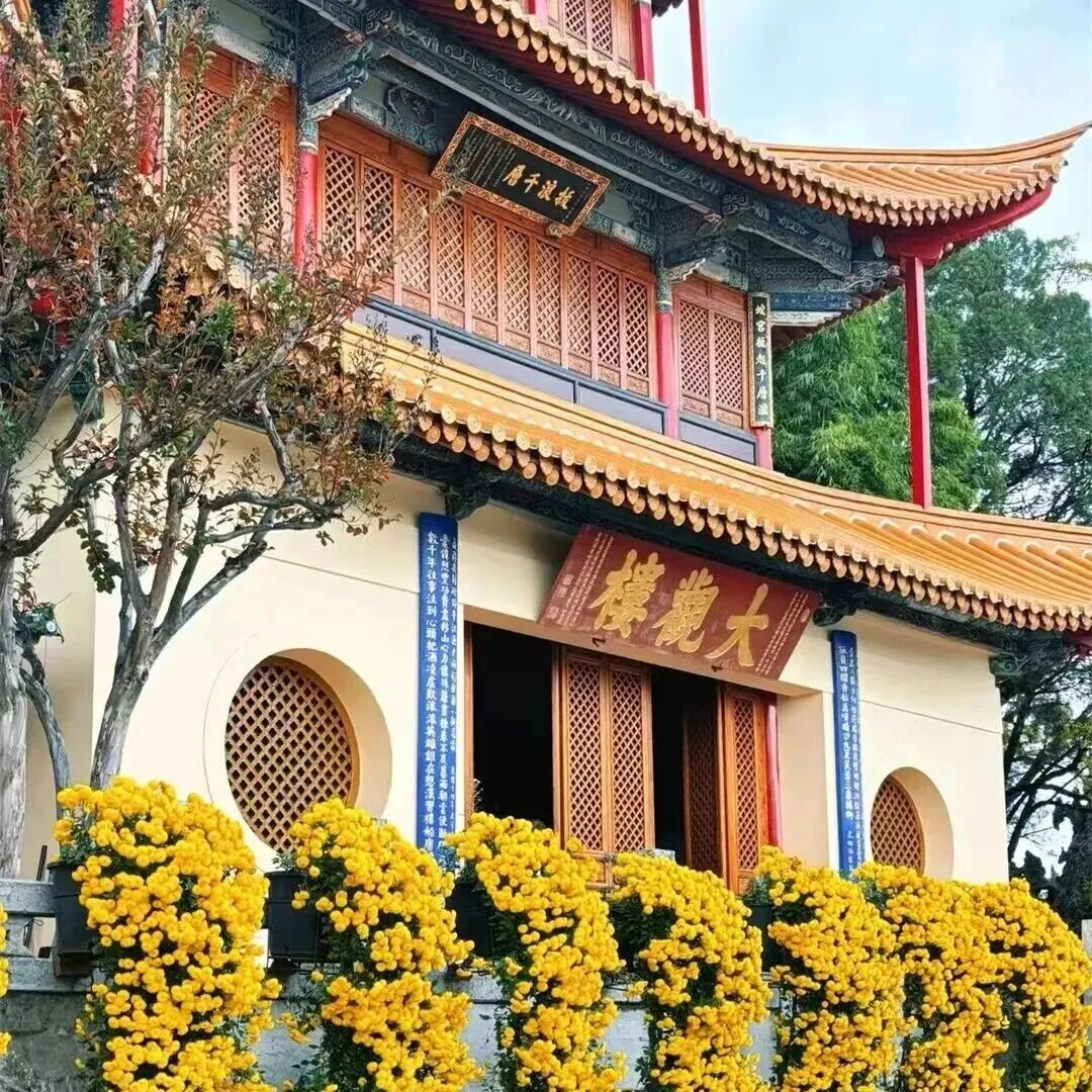 昆报头条