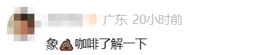 掌上春城微信