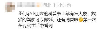 掌上春城微信