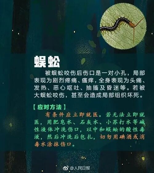 掌上春城微信