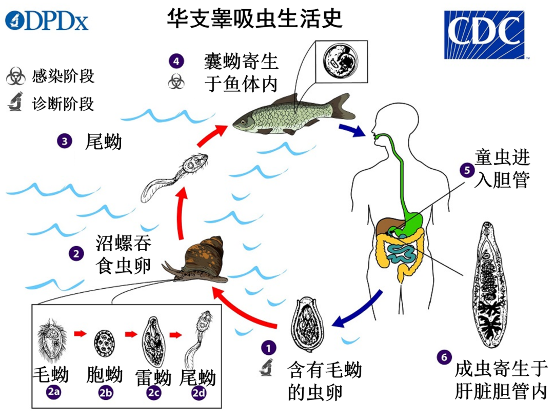 掌上春城微信