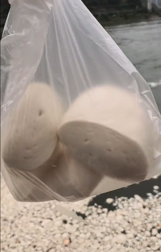 掌上春城微信
