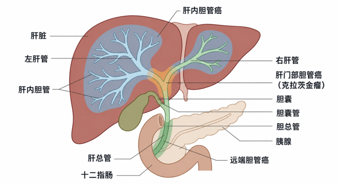 掌上春城微信
